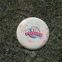 ネスミス フリスビー 71H+6jKmvWL._AC_UL210_SR210,